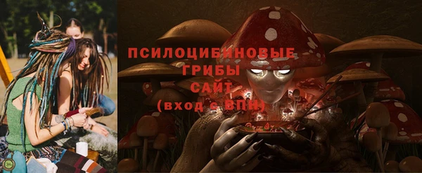прущий лед Армянск