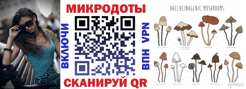 Галлюциногенные грибы Psilocybine cubensis  продажа наркотиков  Шагонар 